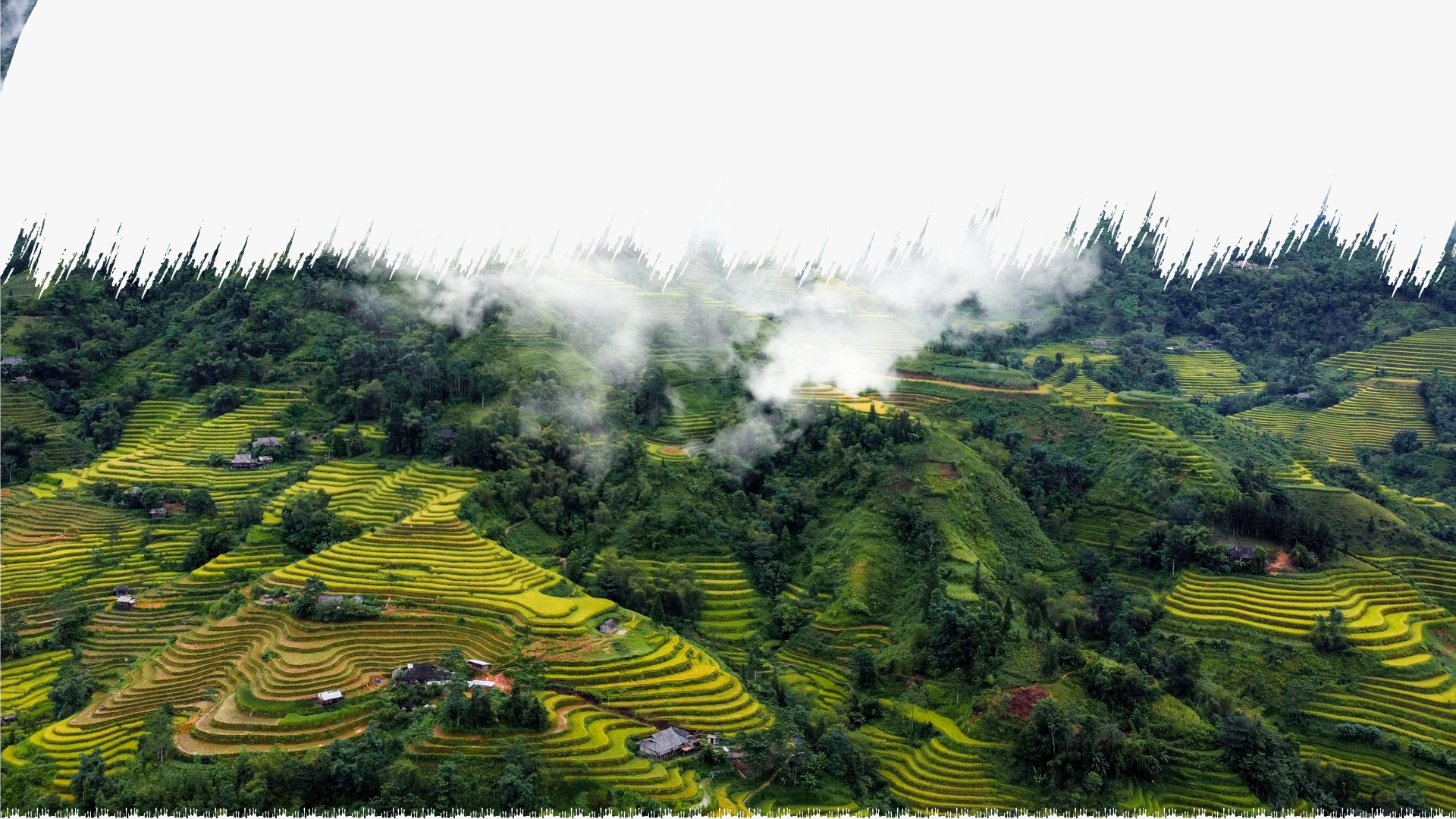 Thương Mại Và Du Lịch Lạc Việt 10