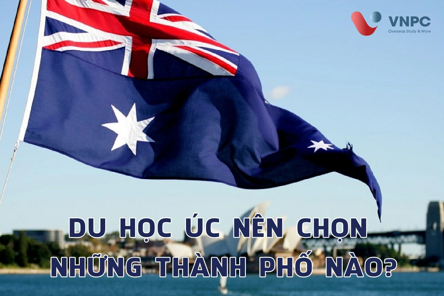 Tư Vấn Chuyên Nghiệp Việt Nam 8