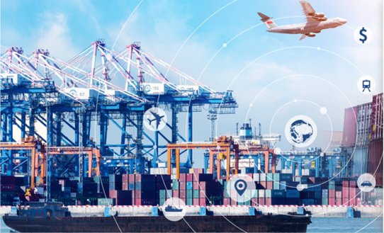 Công Ty TNHH Widely Star Logistics Việt Nam 1