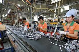 SẢN XUẤT THƯƠNG MẠI DỊCH VỤ C'ELAUD 5