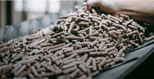 Xuất Khẩu Uni - UNI EXPORT 1