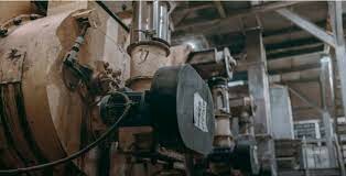 Xuất Khẩu Uni - UNI EXPORT 4