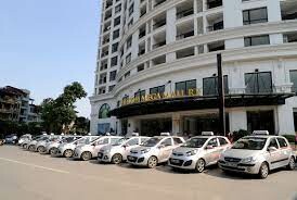 Công ty TNHH Thương mại Sơn Dương 6