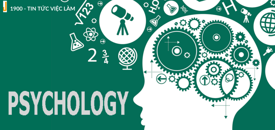 Ngành tâm lý học là gì? Công việc ngành Tâm lý lương cao