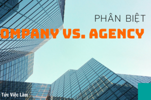 Agency là gì? Đặc điểm cơ bản phân biệt Company và Agency