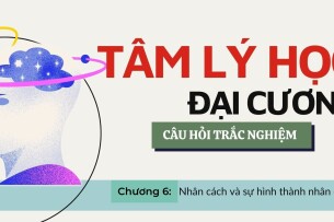 Câu hỏi trắc nghiệm: NHÂN CÁCH VÀ SỰ HÌNH THÀNH NHÂN CÁCH | Tâm lý học đại cương | Trường Đại học Giao thông vận tải TP Hồ Chí Minh (2025)