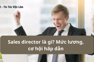 Sales director là gì? Mức lương, cơ hội việc làm hấp dẫn của Giám đốc kinh doanh