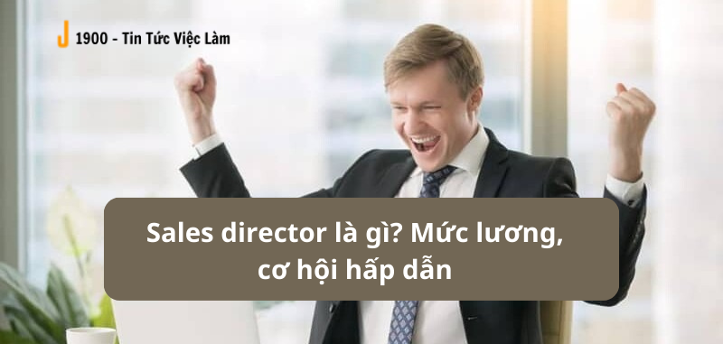 Sales director là gì? Mức lương, cơ hội việc làm hấp dẫn của Giám đốc kinh doanh