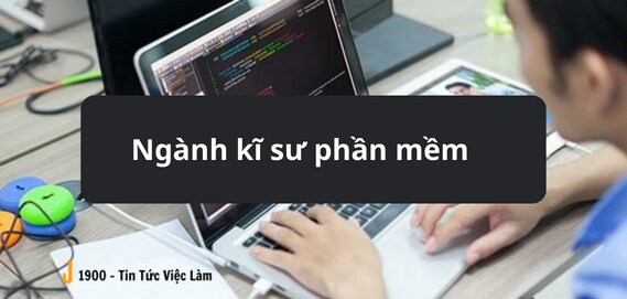 Ngành kỹ thuật phần mềm là gì? Lộ trình thăng tiến nhanh ở lĩnh vực kỹ thuật phần mềm