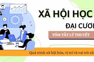 Quá trình xã hội hóa, vị trí và vai trò xã hội | Tóm tắt lý thuyết Xã hội học đại cương | VNU (2025)