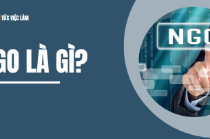NGO là gì? 3 Cách phân loại các tổ chức phi chính phủ