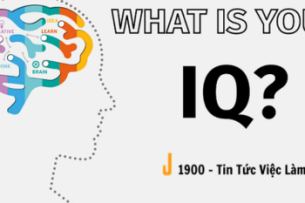 Test IQ là gì? 4 mẫu bài test IQ phổ biến nhất hiện nay