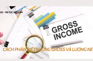 Gross salary là gì? Cách phân biệt lương Gross và lương Net