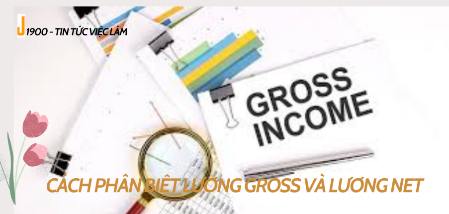 Gross salary là gì? Cách phân biệt lương Gross và lương Net