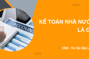 Kế toán nhà nước là gì? 9 chuyên ngành kế toán hiện nay cho bạn lựa chọn
