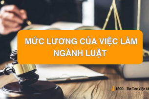 Công chứng viên là gì? Mức lương của việc làm ngành Luật