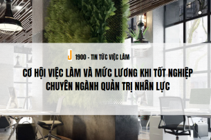 Cơ hội việc làm và mức lương khi tốt nghiệp chuyên ngành Quản trị nhân lực