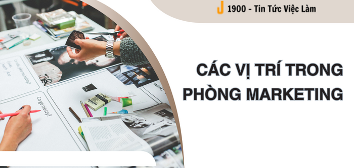 Giám đốc Marketing là gì? Các vị trí quan trọng trong phòng Marketing