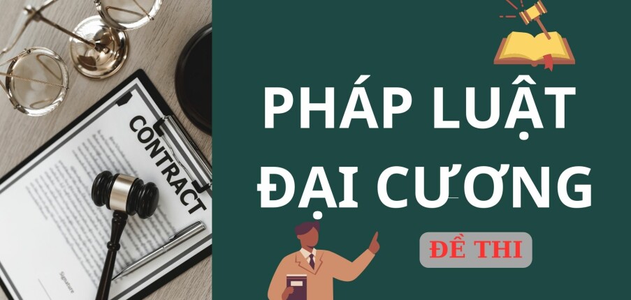 Top 5 đề thi Pháp luật đại cương hay nhất (có lời giải chi tiết) (2025)