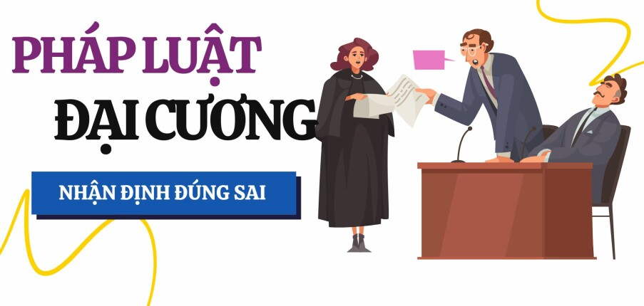 Top 82 Câu hỏi nhận định đúng sai Pháp luật đại cương hay nhất, chi tiết nhất (2025)