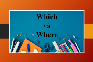Which và Where | Định nghĩa, cách phân biệt và bài tập vận dụng (2025)