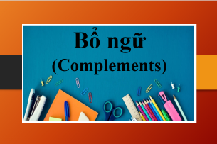 Bổ ngữ (Complements) | Định nghĩa, phân loại và bài tập vận dụng (2025)