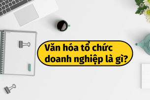 Văn hóa tổ chức là gì? 11 loại hình văn hóa tổ chức doanh nghiệp phổ biến