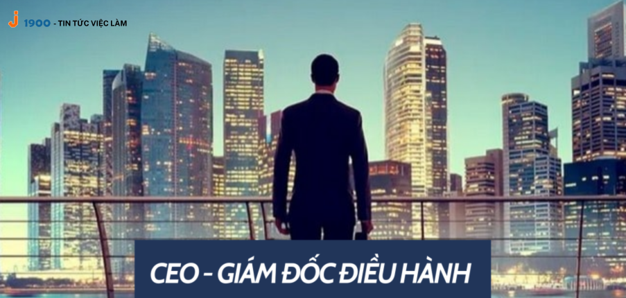 Giám đốc điều hành là gì? Những yêu cầu đối với vị trí giám đốc điều hành