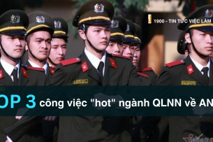 Ngành Quản lý nhà nước về an ninh trật tự là gì?  Top 3 cơ hội việc làm "hot" cho ngành QLNN