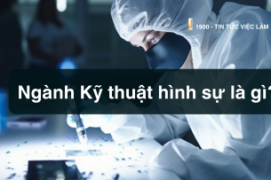 Ngành Kỹ thuật hình sự là gì? TOP công việc "hot" ngành Kỹ thuật hình sự