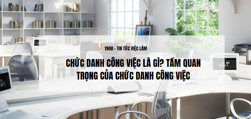 Chức danh công việc là gì? Tầm quan trọng của chức danh công việc