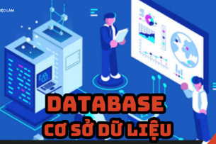 Database (cơ sở dữ liệu) là gì? Chức năng và những loại cơ sở dữ liệu phổ biến