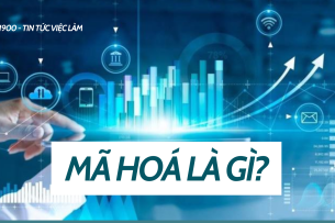 Mã hoá là gì? Các loại mã hóa phổ biến nhất hiện nay