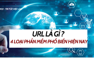 Software là gì ? 4 loại phần mềm phổ biến hiện nay