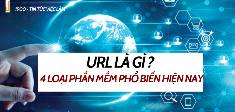Software là gì ? 4 loại phần mềm phổ biến hiện nay