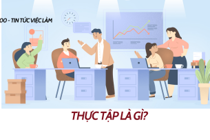 Thực tập là gì? 4 việc phải làm khi đi thực tập