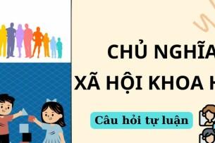 Phân tích sự phát triển nhận thức của đảng ta về phương hướng đi lên chủ nghĩa xã hội? | Câu hỏi tự luận Chủ nghĩa xã hội khoa học (2025)