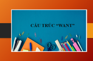 Cấu trúc want | Want to, Want - Ving | Định nghĩa, cách dùng và bài tập vận dụng (2025)