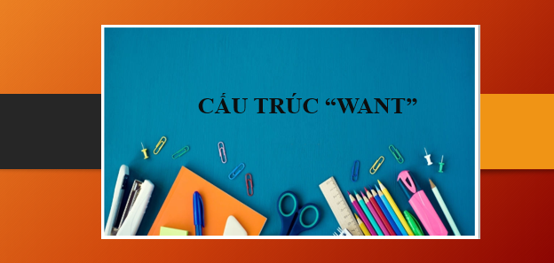 Cấu trúc want | Want to, Want - Ving | Định nghĩa, cách dùng và bài tập vận dụng (2025)