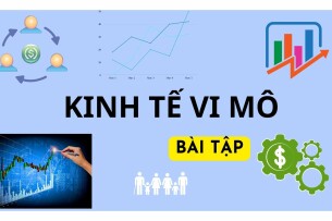 Các dạng bài tập Kinh tế vi mô | Trường Đại học Mở Thành Phố Hồ Chí Minh (2025)