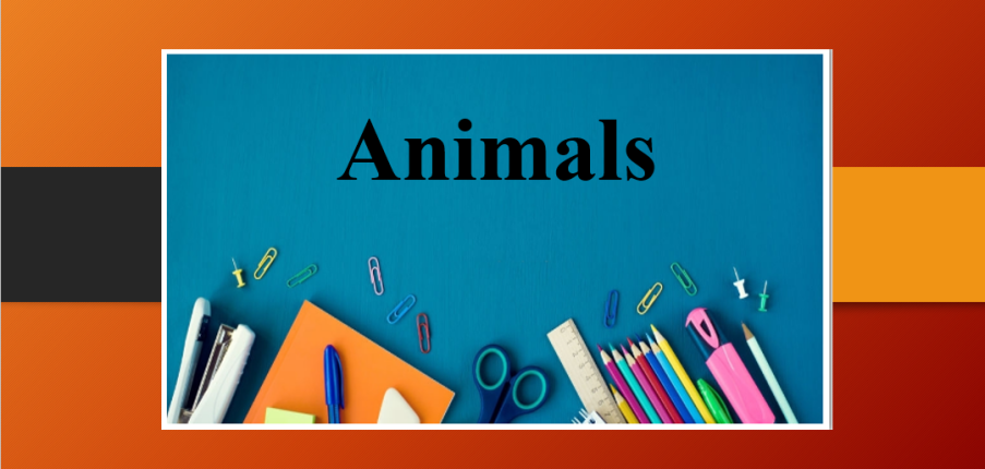 Animals | Bài mẫu IELTS Writing Task 2 (2025)