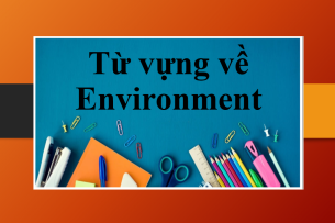 Từ vựng về Environment | Các cụm từ phổ biến, khẩu hiệu bảo vệ môi trường và mẫu giao tiếp về Environment (2025)