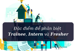Đặc điểm để phân biệt Trainee, Intern và Fresher