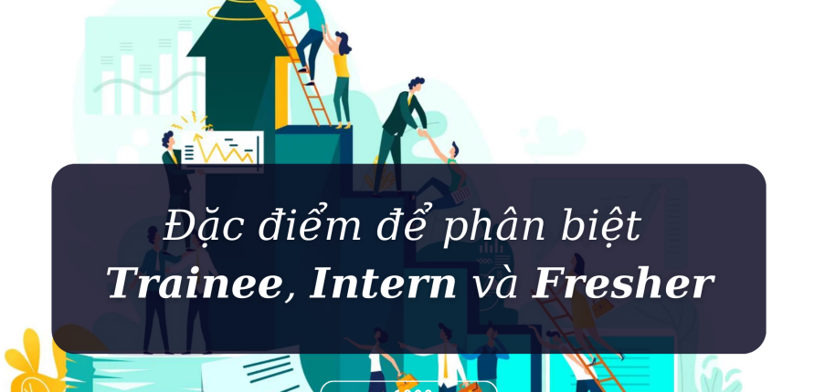 Đặc điểm để phân biệt Trainee, Intern và Fresher