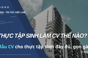 Thực tập sinh làm CV thế nào? Mẫu CV cho thực tập sinh đầy đủ, gọn gàng