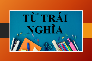 TOP 100 cặp từ trái nghĩa trong tiếng Anh thông dụng nhất (2025)