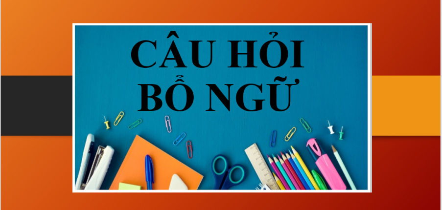 Câu hỏi bổ ngữ: When, Where, How, Why | Cấu trúc, cách dùng câu hỏi bổ ngữ - Bài tập vận dụng (2025)