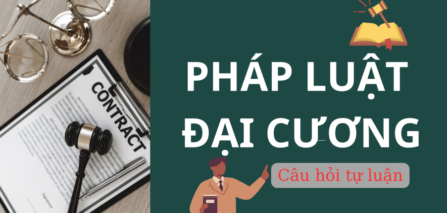 Các thuộc tính cơ bản của pháp luật? | Câu hỏi tự luận ôn tập học phần Pháp luật đại cương (2025)