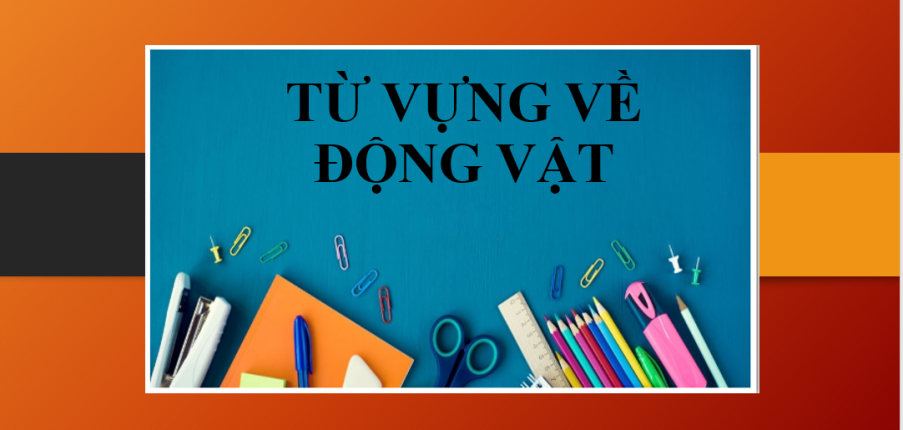 Từ vựng IELTS chủ đề: Animals | Từ vựng tiếng Anh về con vật (2025)