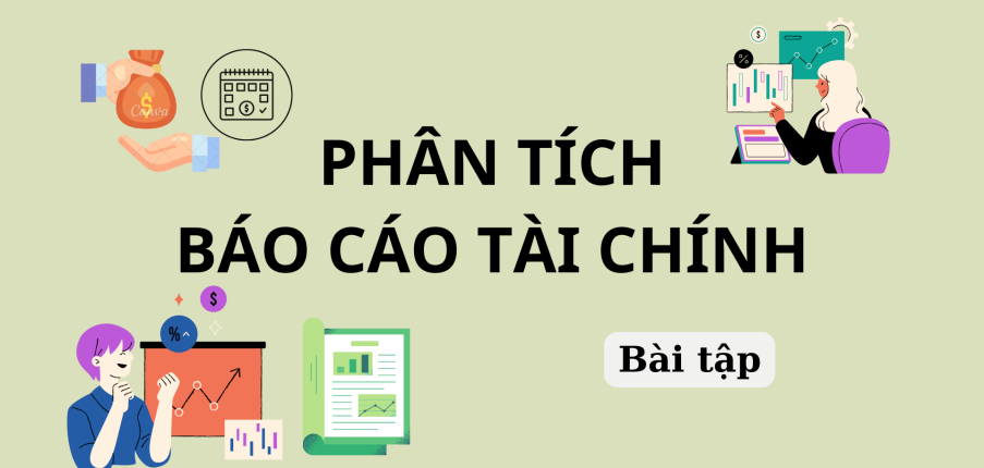 Bài tập Phân tích báo cáo tài chính | Trường Đại Học Đồng Tháp (2025)